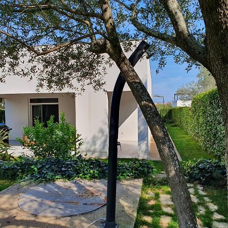 Villa Tea Zadar Exteriör bild